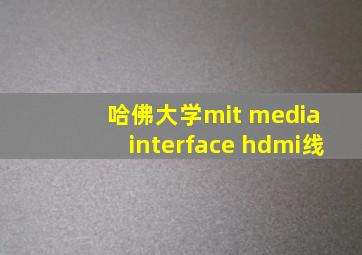 哈佛大学mit media interface hdmi线